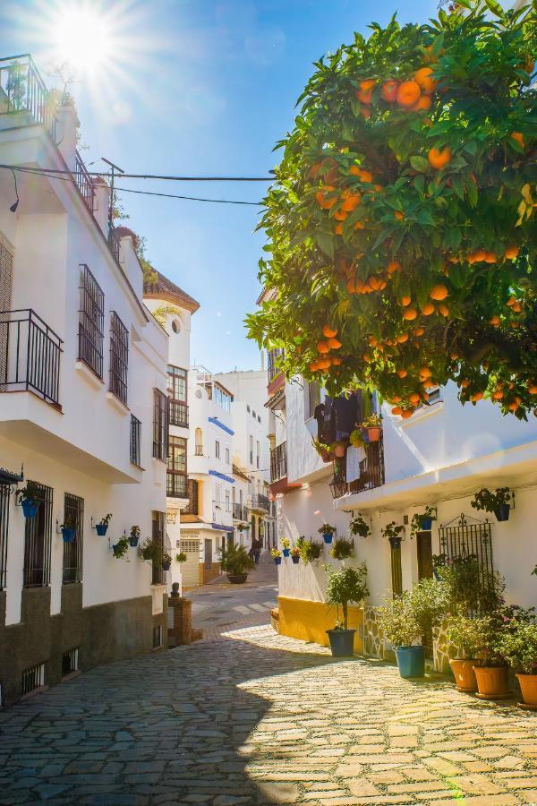 Escape To Εστεπόνα Εξωτερικό φωτογραφία